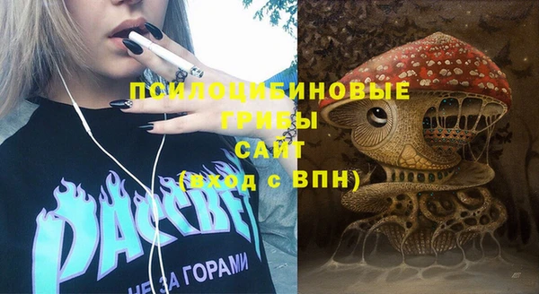 спиды Алексеевка