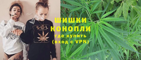 spice Алзамай
