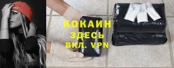 spice Алзамай