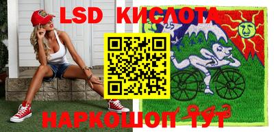 прущие крисы Кандалакша
