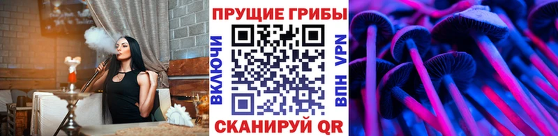 Псилоцибиновые грибы MAGIC MUSHROOMS Первоуральск