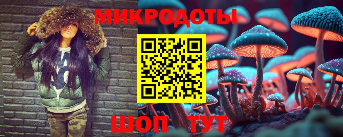 Псилоцибиновые грибы Psilocybe  Вход с VPN  где купить наркоту  Первоуральск 