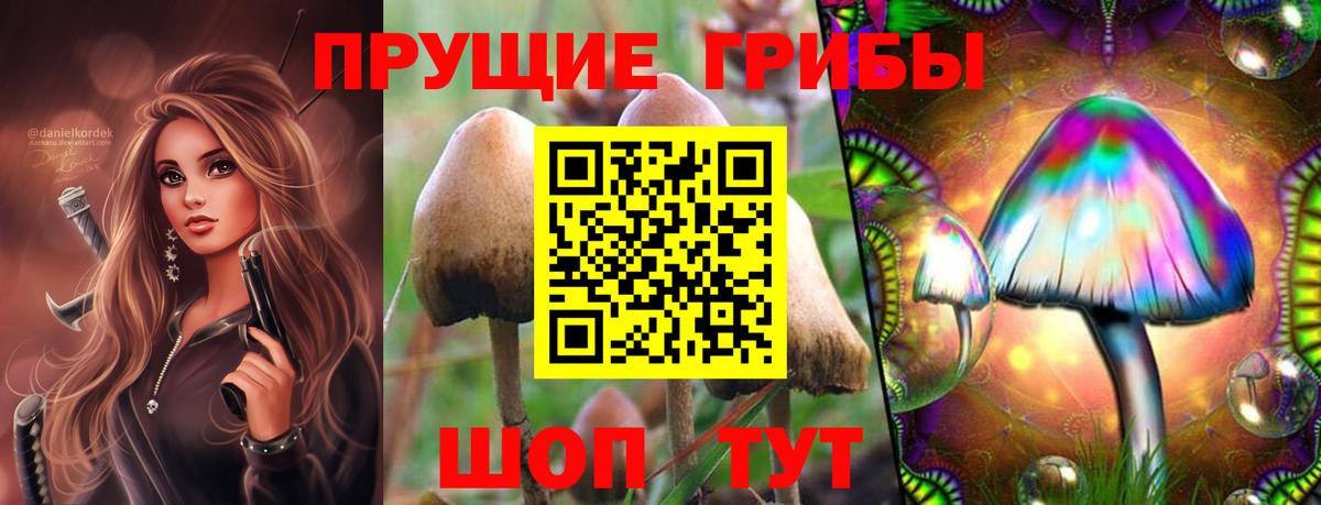 Псилоцибиновые грибы мухоморы Первоуральск